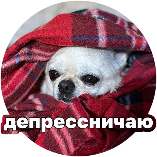 😔 Стикер «Джеки Чан» для Telegram