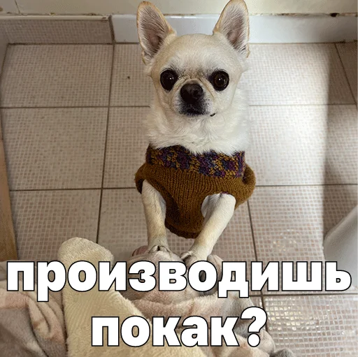 💩 Стикер «Джеки Чан» для Telegram