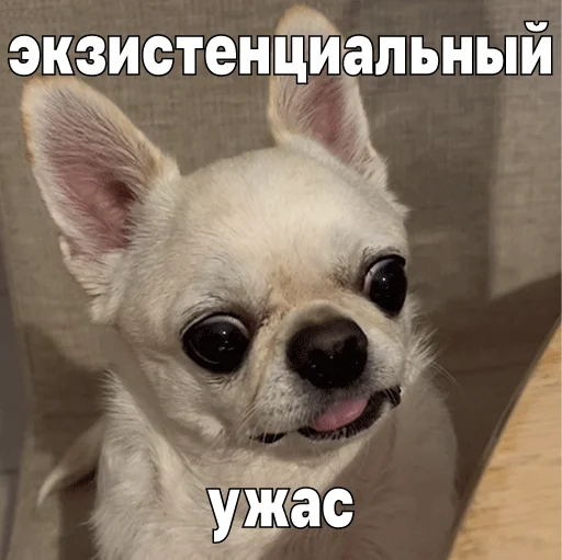 😥 Стикер «Джеки Чан» для Telegram