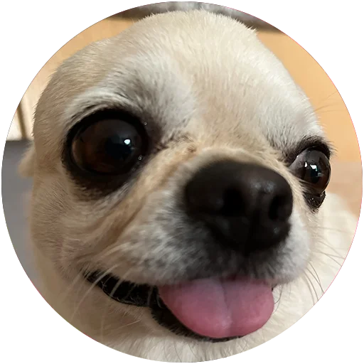 😛 Стикер «Джеки Чан» для Telegram