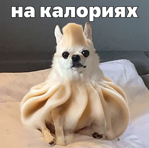 🥟 Стикер «Джеки Чан» для Telegram