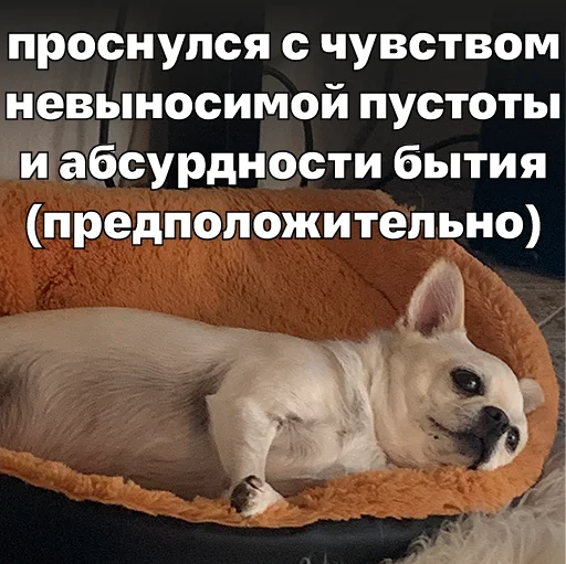🪦 Стикер «Джеки Чан» для Telegram