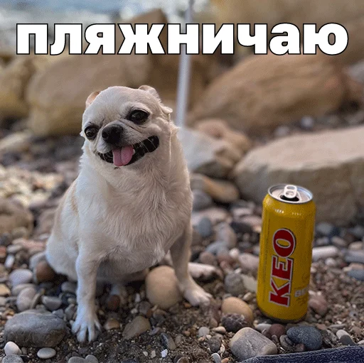 🏝️ Стикер «Джеки Чан» для Telegram
