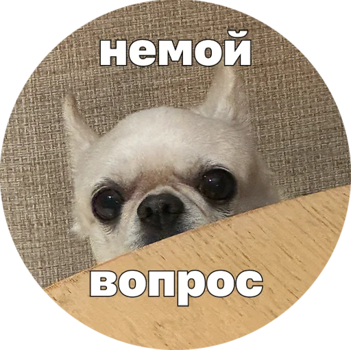 ❓ Стикер «Джеки Чан» для Telegram