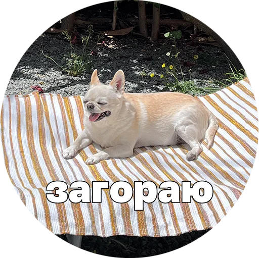 🥵 Стикер «Джеки Чан» для Telegram