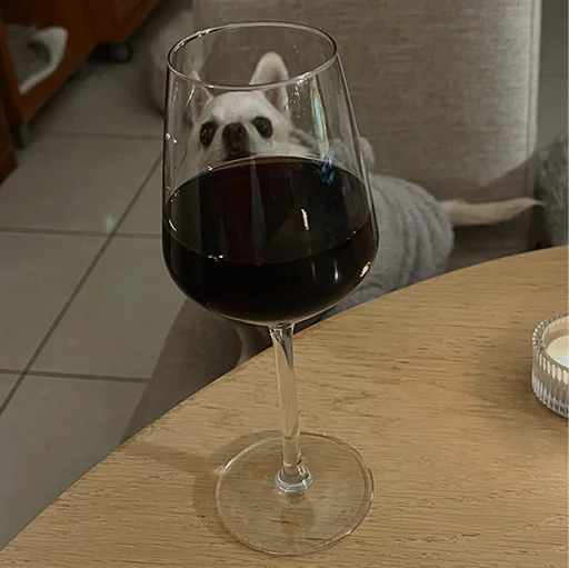 🍷 Стикер «Джеки Чан» для Telegram
