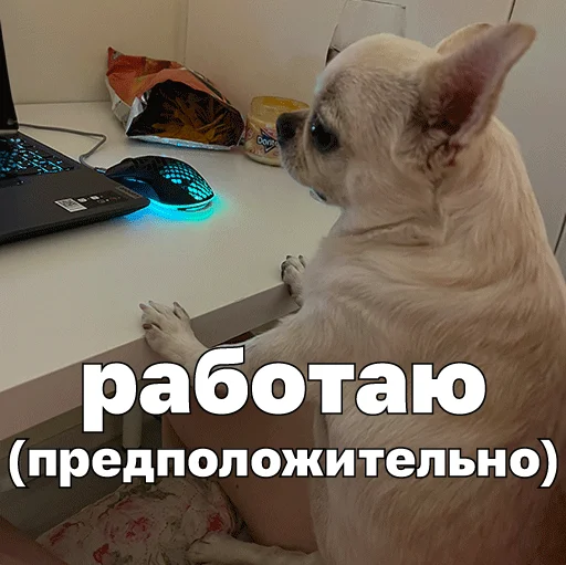 🧑‍💼 Стикер «Джеки Чан» для Telegram