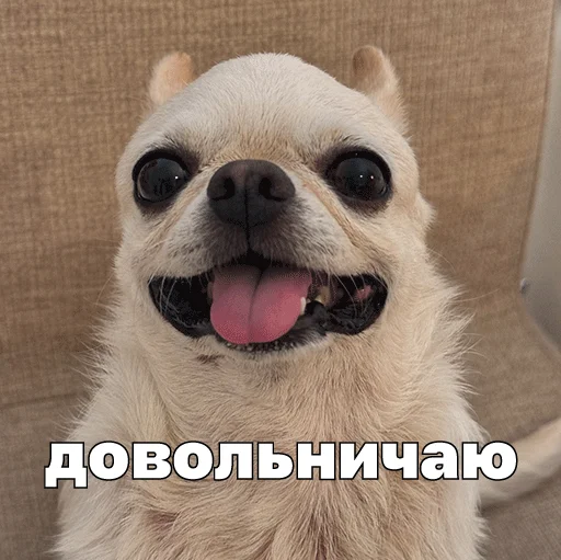 😌 Стикер «Джеки Чан» для Telegram