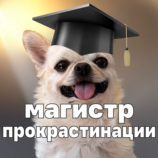 🫠 Стикер «Джеки Чан» для Telegram