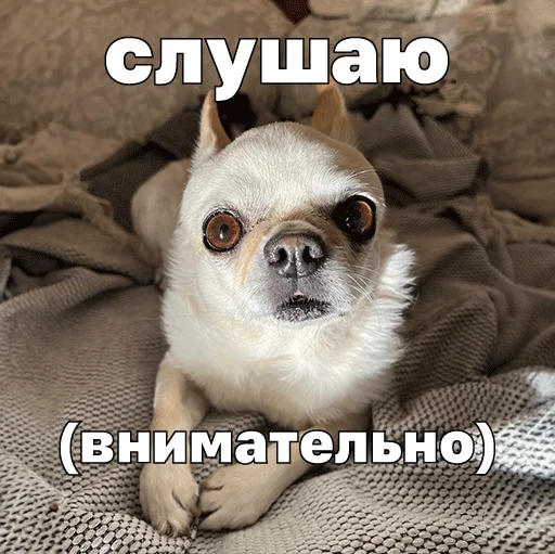 🥸 Стикер «Джеки Чан» для Telegram
