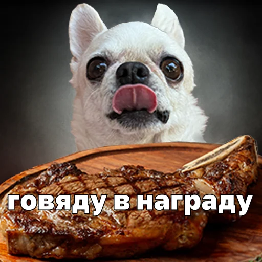 😋 Стикер «Джеки Чан» для Telegram
