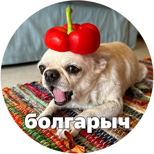 🫑 Стикер «Джеки Чан» для Telegram