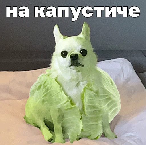 💴 Стикер «Джеки Чан» для Telegram