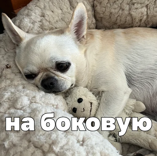 😴 Стикер «Джеки Чан» для Telegram