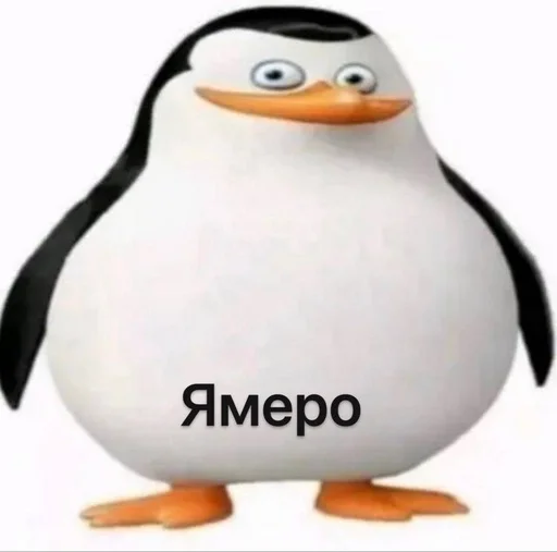 😉 Стикер «Чел ты» для Telegram
