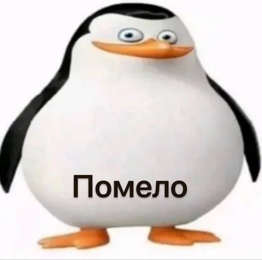 🍋 Стикер «Чел ты» для Telegram