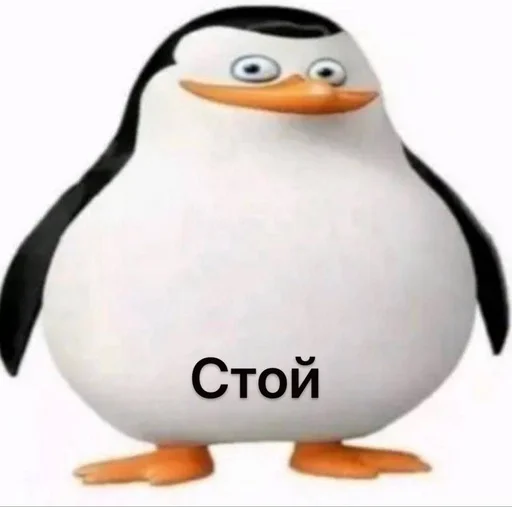 💯 Стикер «Чел ты» для Telegram