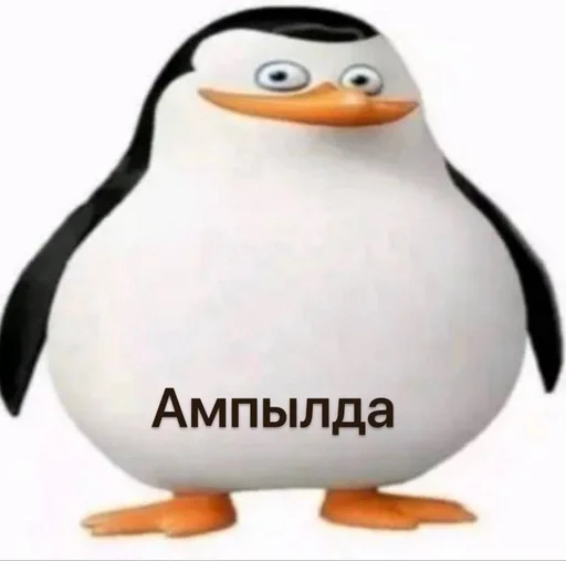 🎂 Стикер «Чел ты» для Telegram