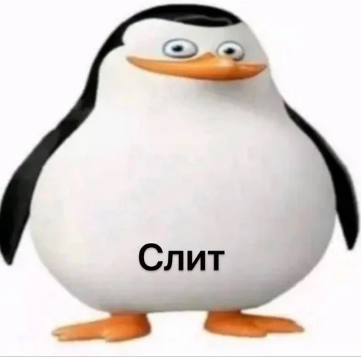 😔 Стикер «Чел ты» для Telegram