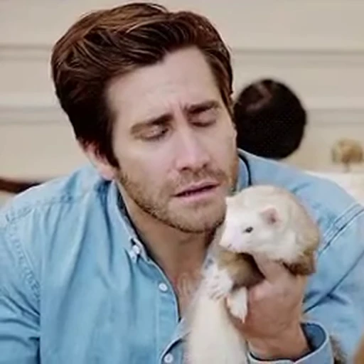 😑 Стикер «Jake Gyllenhaal» для Telegram