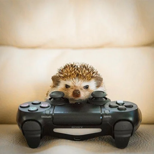 🎮 Стикер «Jane&;s Hedgehogs» для Telegram