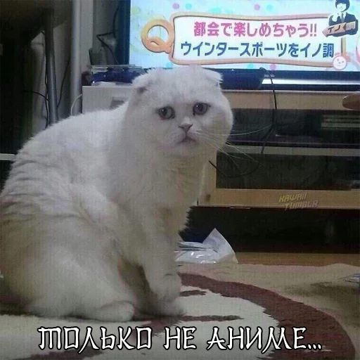 ☹️ Стикер «Самураи-аутисты» для Telegram