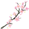 🌸 Эмодзи «Япония» для Telegram