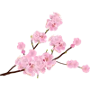 🌸 Эмодзи «Япония» для Telegram