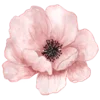 🌸 Эмодзи «Япония» для Telegram