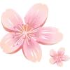 🌸 Эмодзи «Япония» для Telegram