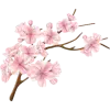 Стикер 13 Japan vibe #vibe #cute