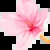 Стикер 54 Japan vibe #vibe #cute