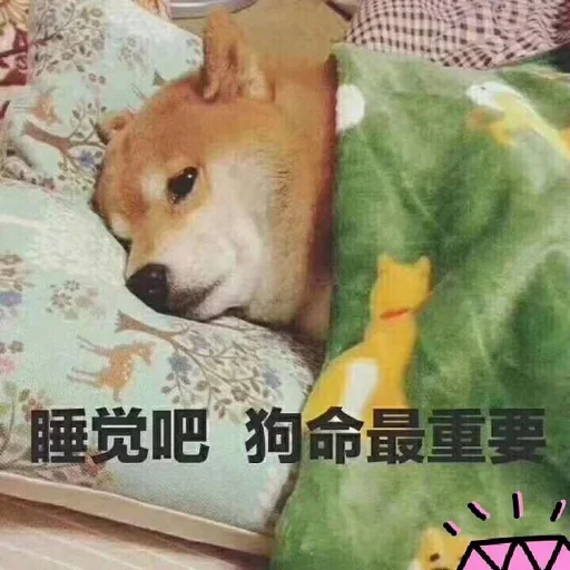💤 Стикер «的私藏 (1)» для Telegram