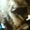 Стикер 57 Джейсон и Майкл #film
