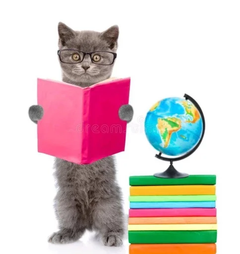 🙇‍♂ Стикер «Cats 2» для Telegram