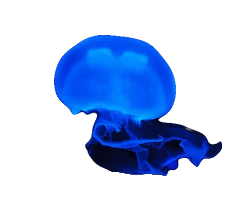 😟 Стикер «Jellyfish» для Telegram