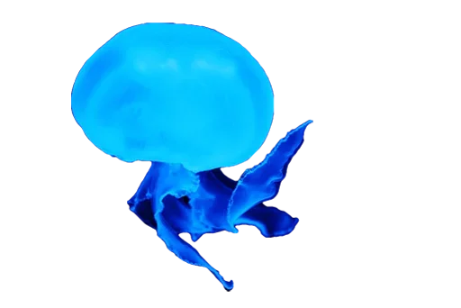 😀 Стикер «Jellyfish» для Telegram
