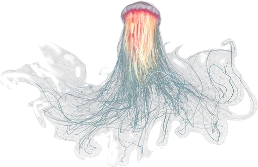 😜 Стикер «Jellyfish» для Telegram
