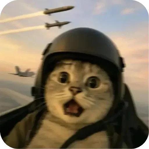 👍 Стикер «ᴅ̶ᴇ̶ᴘ̶ᴜ̶ᴛ̶ʏ̶ ̶ᴛ̶ᴇ̶ʟ̶ᴇ̶ɢ̶ʀ̶ᴀ̶ᴍ̶» для Telegram