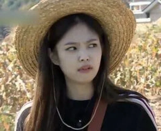 💫 Стикер «jennie meme» для Telegram