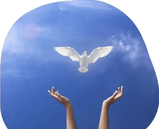 🕊 Стикер «Jesus Amen» для Telegram