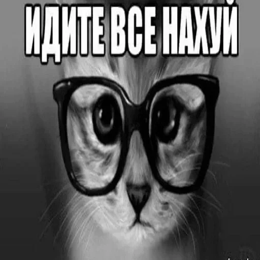🖕 Стикер «соливой» для Telegram
