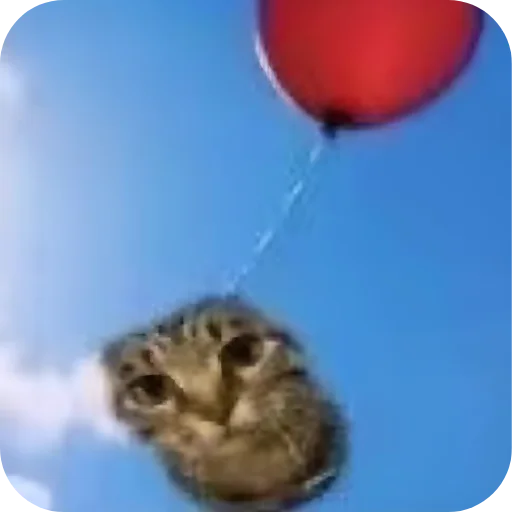 🌌 Стикер «соливой» для Telegram