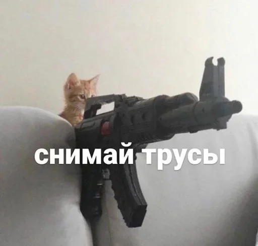 🤭 Стикер «Воу, писичка» для Telegram