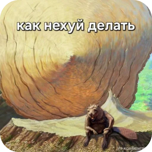 🐦 Стикер «Воу, писичка» для Telegram