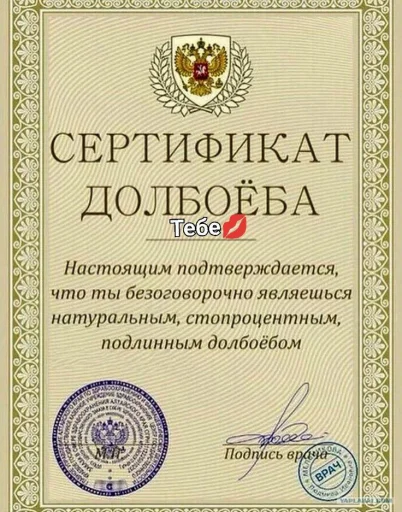💋 Стикер «Воу, писичка» для Telegram