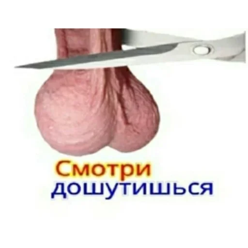 🥰 Стикер «Воу, писичка» для Telegram
