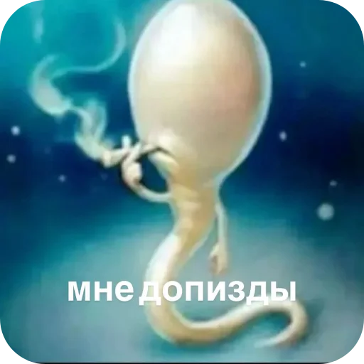 🖼 Стикер «Воу, писичка» для Telegram