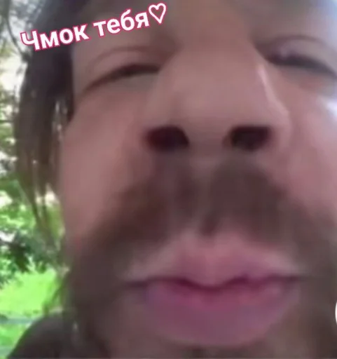 💋 Стикер «Воу, писичка» для Telegram