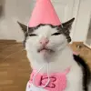 Стикер 4 Cats #cat #animal #cute #memes
